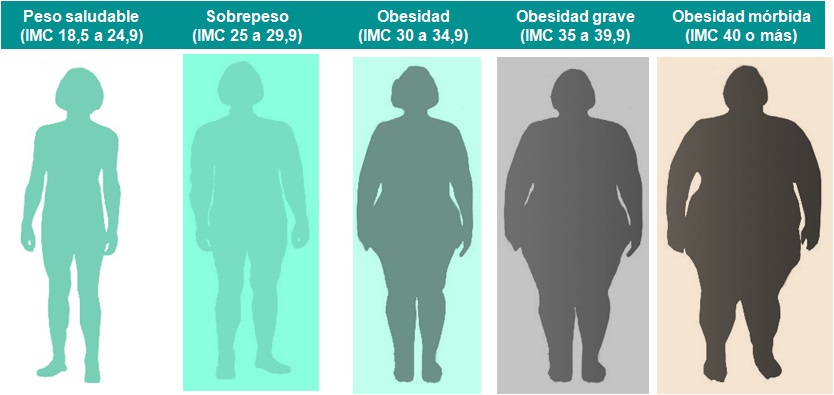 Tengo sobrepeso. ¿Me sobran solo unos kilos o padezco obesidad?